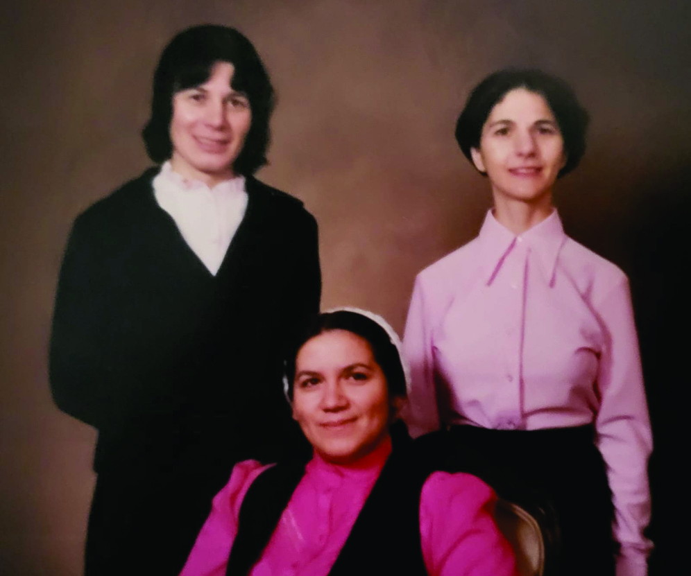 Familia Sfatcu, pe panou
